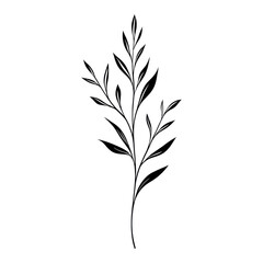 Fototapeta premium PNG Hand drawn a Fireweed wildflower art botanical plant.