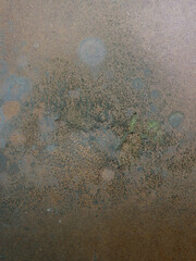 Close-up of mold on fiberboard - texture