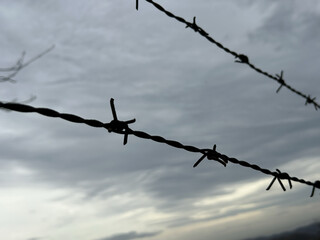 Barbed wire against the sky