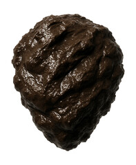 Obraz premium Dark brown, sticky estuarine mud sample.