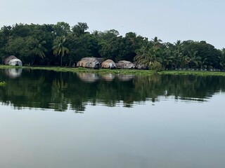 Beautiful backwater view royalty free image, backwater stock image, kerala backwaters pictures