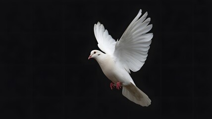 A white dove flying peacefully across a blue sky with wings spread is a beautiful symbol of love and freedom