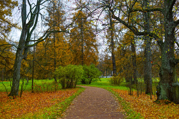 Fototapeta premium autumn in the park