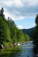 Obraz premium river in the mountains Carpathians