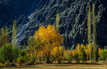 COLORFUL AUTUMN IN GILGIT BALTISTAN PAKINSTAN