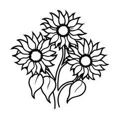 vector illustration of a sunflower