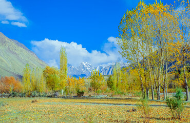 COLORFUL AUTUMN IN GILGIT BALTISTAN PAKINSTAN