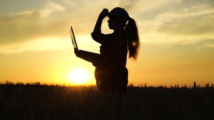 Farmer woman is working at her computer at sunset. Businesswoman with laptop is working in wheat field, assessing, checking grain harvest. Agronomist girl works. Concept of agricultural business