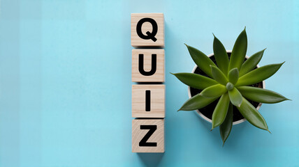 Wooden blocks spelling "Quiz" stacked next to a potted succulent on a light blue background perfect for educational games trivia nights and interactive learning content creation