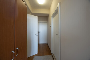 Bright apartment hallway with wooden floor and white doors