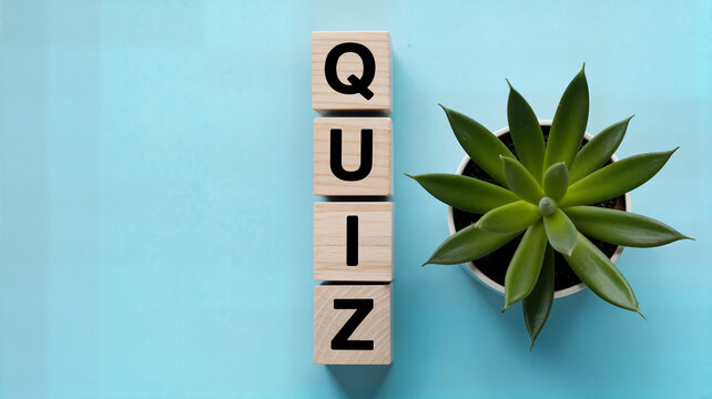 Wooden blocks spelling "Quiz" stacked next to a potted succulent on a light blue background perfect for educational games trivia nights and interactive learning content creation