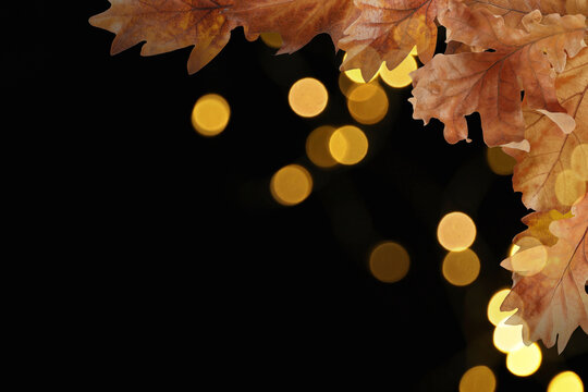 Brown autumn leaves against black background with lights, bokeh effect