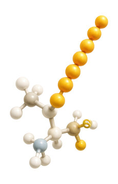 Palmitoylated cysteine with a palmitoyl group attached to the thiol.