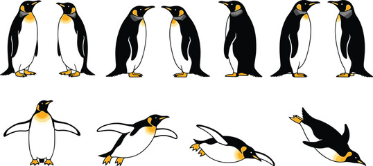 Cartoon penguin vector set with playful poses, walking, sliding, diving actions, black and white animal illustrations © Asha Creatives