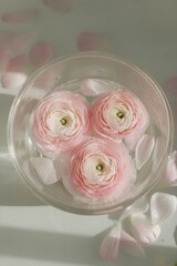 A bouquet of flowering ranunculus pink on a light background. Rich buttercup buds.A beautiful arrangement of pink ranunculus flowers in a vase. generative ai	