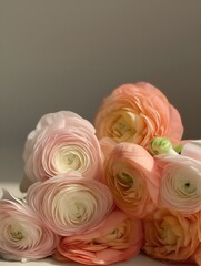 A bouquet of flowering ranunculus pink on a light background. Rich buttercup buds.A beautiful arrangement of pink ranunculus flowers in a vase. generative ai	