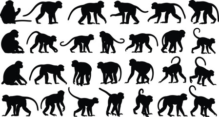 Silhouettes of twenty-five monkeys in diverse poses including climbing, sitting, walking, and crouching for vector animal illustration.