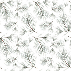 Pine Branches Pattern . Watercolor illustration, drawing for fabric.