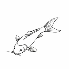 Simple Handdrawn Koi Fish Carp Illustration Pet Animal Graphic