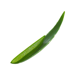 Aloe Vera Leaf With Gel Exposed. Natural Skincare And Healing Properties. Isolated On Transparent Background