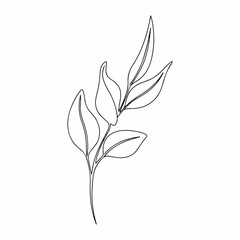 Minimalist Line Art Delicate Branch with Leaves Botanical Illustration