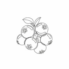 Outline Simple Blueberry Clipart Drawing Illustration of Fresh Organic Fruit
