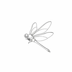 Detailed Outline Drawing of a Beautiful Dragonfly Insect Illustration Art