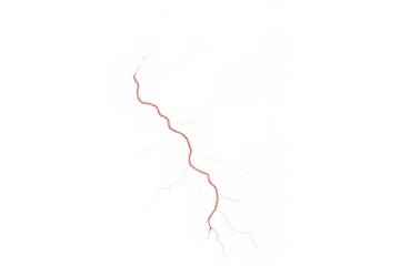Wavy squiggly red line with transparent background drawing a continuous abstract path or border
