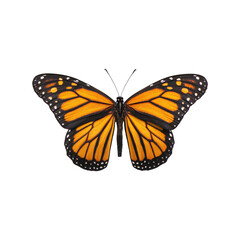 Fototapeta premium Monarch Butterfly. Symbol Of Transformation And Beauty. Isolated On Transparent Background