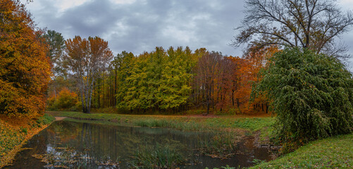 Obraz premium Tranquil park lake framed by golden and green autumn foliage