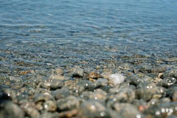 Tranquil shoreline: clear water over smooth pebbles