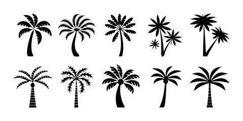 Collection of palm tree silhouettes in black and white for summer designs