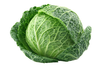 Obraz premium Close-up of a fresh green savoy cabbage