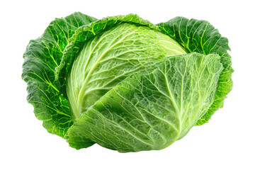 Fototapeta premium Close-up of a fresh green cabbage head (3)