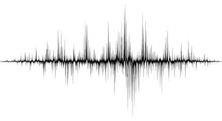 A black and white abstract sound wave or seismic activity graph on a white background.