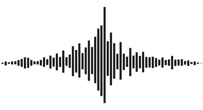 A black and white waveform representing sound or seismic activity, with a central peak and tapering sides.