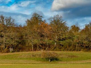 Hoch und Jägersitz am waldrand im Herbst