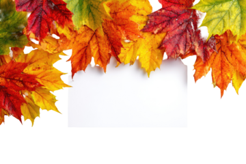 Autumn leaves frame a blank white rectangle. Vibrant fall foliage, including reds, oranges, yellows, and greens, form a decorative border around a crisp, clean white space