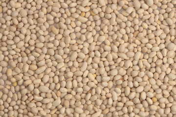 Natural White beige kidney beans. Food background. Top view.
