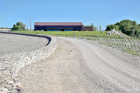 Camino de ripio que conduce hacia los vi&ntilde;edos j&oacute;venes de la Bodega Xumek en el Valle de Zonda, San Juan. La fotograf&iacute;a muestra estacas de cultivo, la infraestructura de la bodega y el paisaje monta&ntilde;os