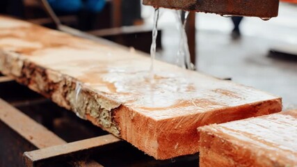 Medium shot of biodegradable coatings being applied to freshly cut lumber showcasing environmentally safe preservation techniques in a wood processing facility.
