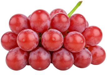 Vibrant, ripe red grapes with natural bloom and green stem, isolated on a transparent background with copy space, soft studio lighting. Concept of healthy eating and freshness