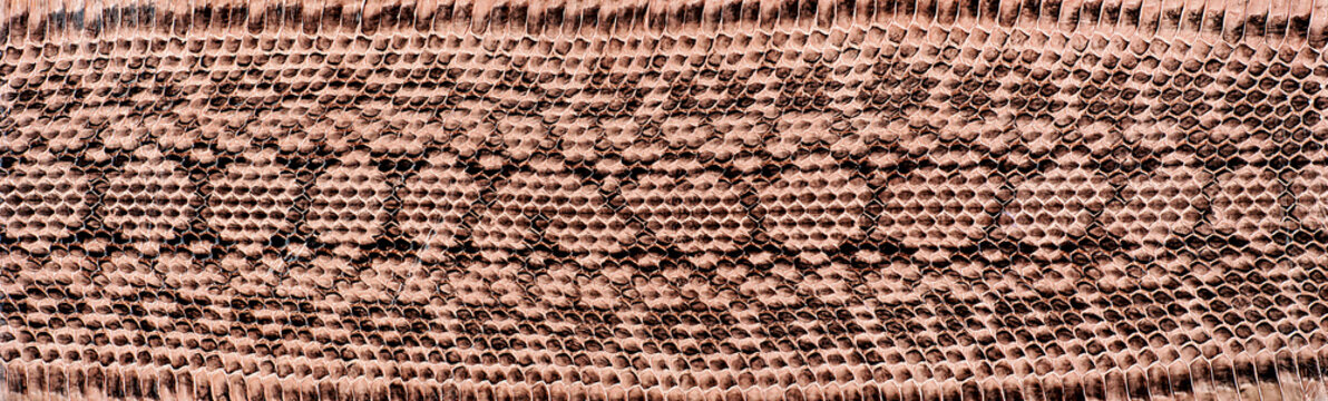 Texture of natural snake skin, as background. Snake pattern. Reptile skin texture.