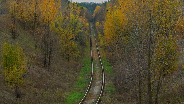 Railway track surrounded by deciduous forest.