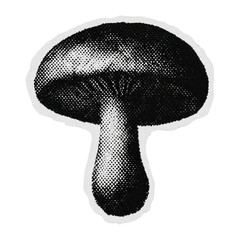Obraz premium PNG Vintage mushroom illustration art.