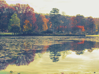 autumn landscape with lake