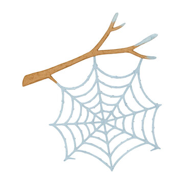 PNG Illustration of spider web branch