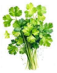 Watercolor Cilantro Leaves in Fresh Green Botanical Style