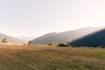 Fototapeta premium Meadow valley mountains grass landscape and rolling hills under soft morning light. Wide open field with distant treeline, serene countryside scene for nature, outdoor and pastoral calm.