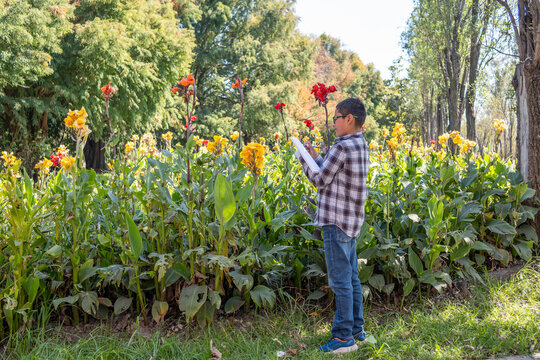 Young boy drawing flowers in a park, learning botany during outdoor activity - Powered by Adobe